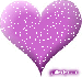 purple-heart.gif
